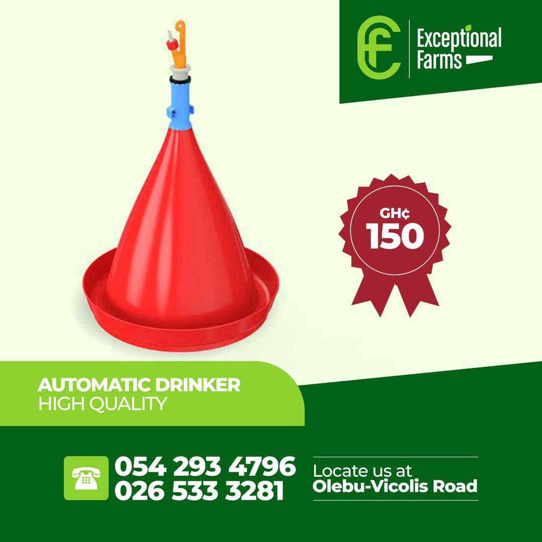 automatic drinker high quality